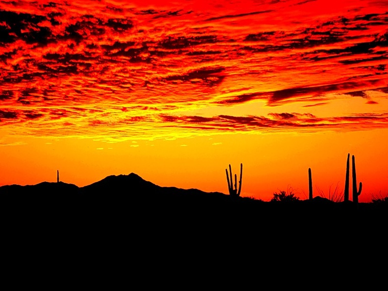 Sundown at Saguaro, Tucson, Arizona
